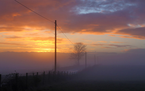 Stirlingshire in the mist by Mike Bolam