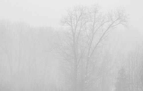 White Out by Lotterhand