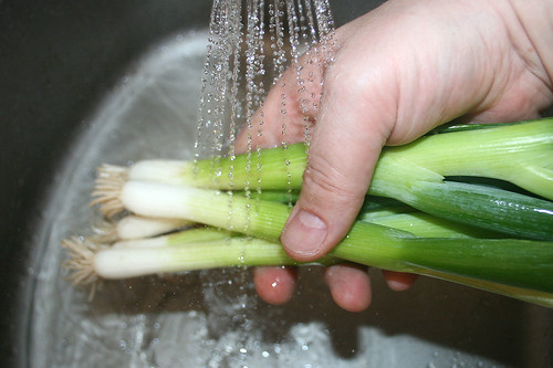 12 - Frühlingszwiebeln waschen / Wash spring onions