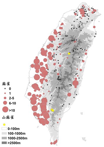 BBS公民科學家觀察累積的數據，做成了全台麻雀、山麻雀分布數量統計圖。圖片來源：BBS Taiwan