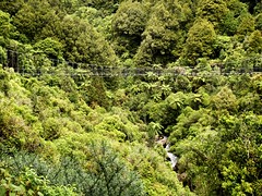 2013-12 NZ Timber Trail