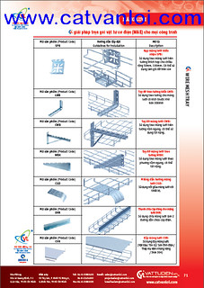 thang cáp, khay cáp, máng cáp, miệng gió, wire mesh tray, wire mesh cable tray, cable basket tray, Steel cable Basket 9