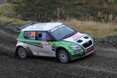 2013 Wales Rally GB National Hafren