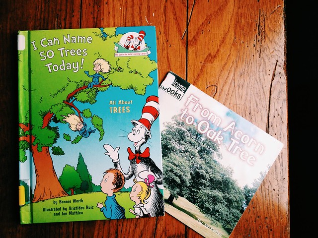 Kids' Books for Learning About Trees