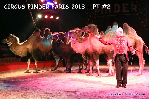 pinder 0613 - 177 (Small) by CIRCUS PHOTO CENTRAL