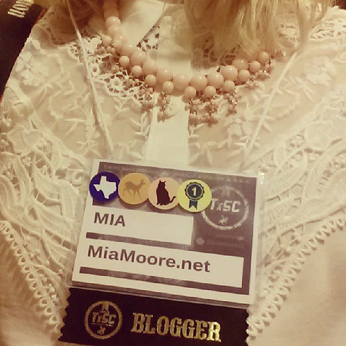 Little #txsc13 details - love this new @lulus necklace I won last night (thanks!) and the details on this blouse. The icons on my badge mean: I'm from Texas, oh deer I'm shy, I'm a cat lover, and this is my first TX Style Council!