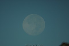 			Klaus Naujok posted a photo:	Early morning full moon @ 800mm (1200mm FF) - Vivitar 800mm Mirror Lens.