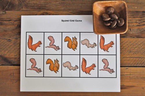 Squirrel Grid Game Acorns