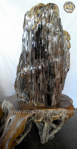 AGATE FOSSIL WOOD ( 透明的瑪瑙木化石 ) by AZGallery