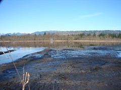 Burnaby Lake