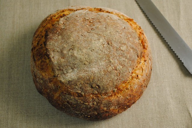 Rye and linseed close up
