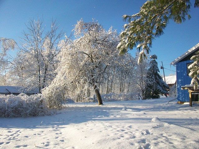 winter 2013-14 183
