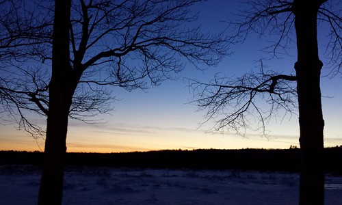 [322/365] Snowy Sunset