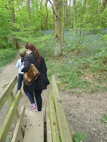 The Rowthorne Trail and Hardwick Hall ...