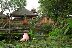 Pura Taman Saraswati (Cafe Lotus) (Bali)