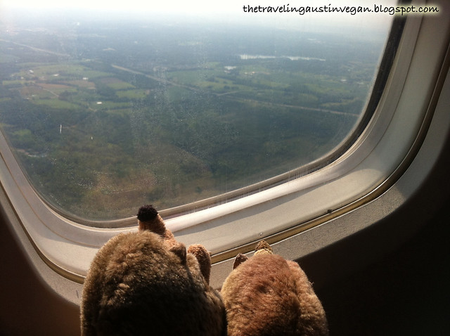 Hedgehogs on a Plane