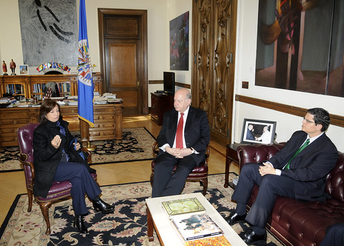 OAS Secretary General Meets with the Chair of the Board of Directors of the Inter-American Agency for Cooperation and Development