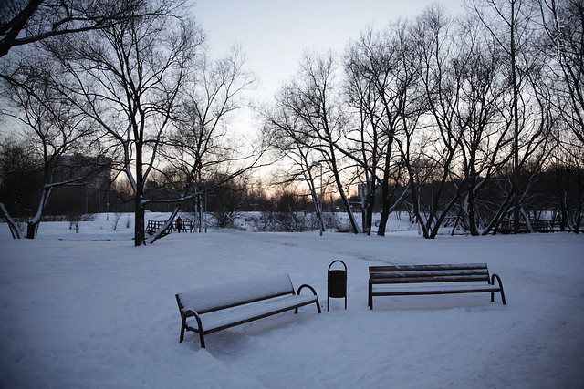 Benches_in_the_winter_2014(08)