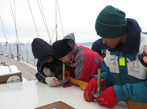 learning plankton ecology on Seaward