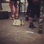 Pug on the floor at #sarjakuvafestivaalit