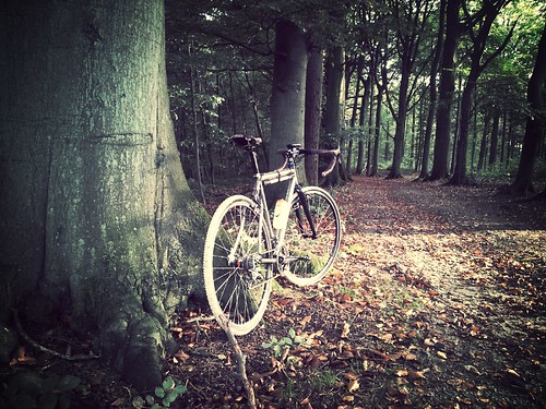 Moots Psychlo - X on a forest road.