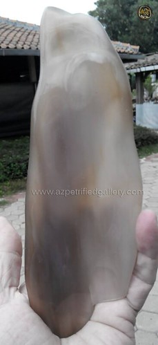 Small agate fossil wood by AZGallery