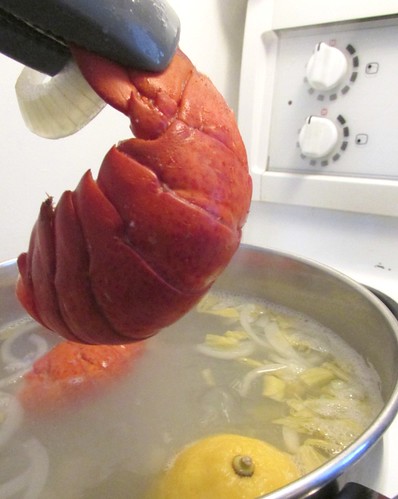 Perfectly Poached Lobster Tail