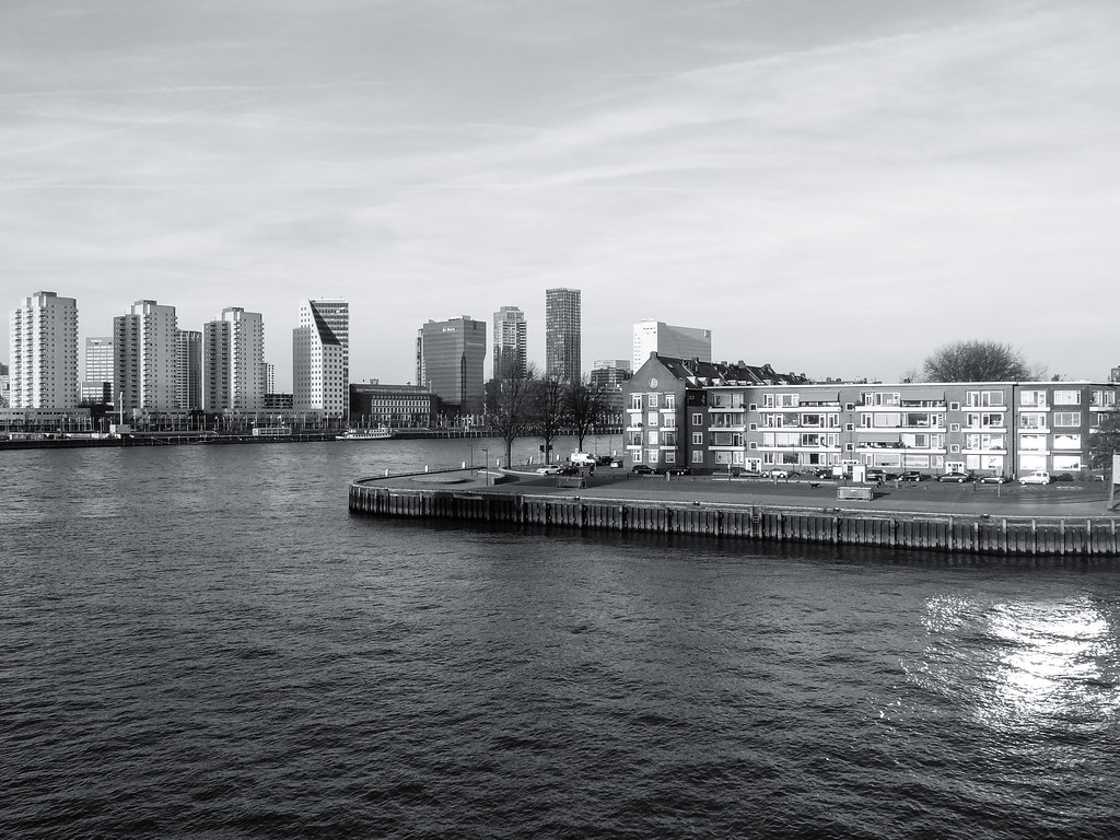 Rotterdam (3 of 44).jpg