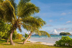 Seychelles 2013