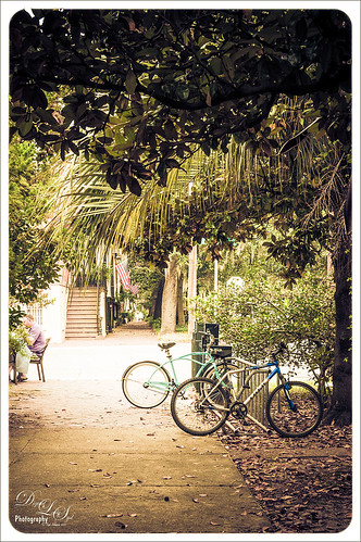 Image of a side street with bikes in Savannah