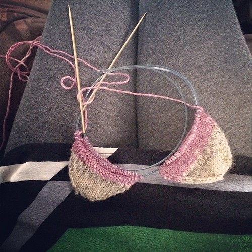 #knittingsocks so far: