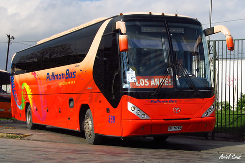 Pullman Bus en Santiago | Youngman Starliner JNP6120T / DBYC52
