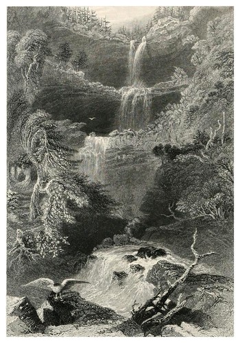 012-Forest, rock, and stream- 1886- W.H. Bartlett y otros