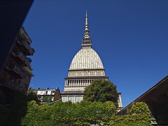 Turin 2013