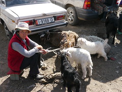 Kyrgyzstan 06 Karakol Catlle Market