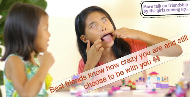LEGO Friends "Lessons of Friendship" Meme Contest Winners - Alvinology