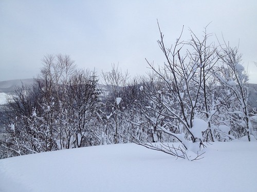 朝里川温泉スキー場 パープルリフト頂上-01 20140103
