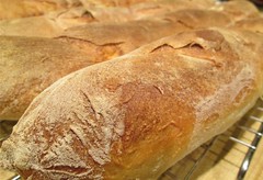 Proper French Bread by Teckelcar