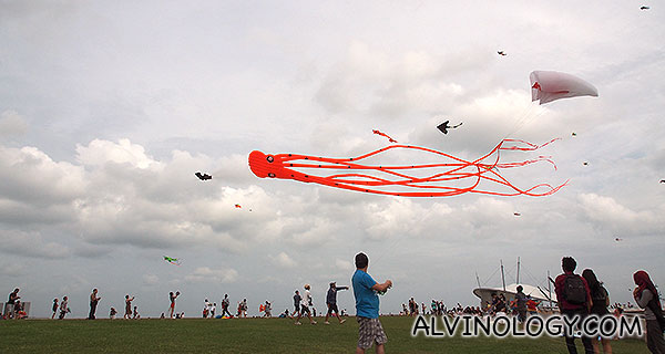 Colourful, assorted kites decorating the sky 