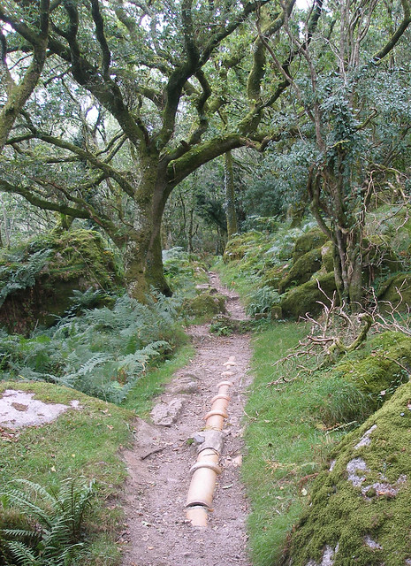 Ceramic pipeline, Plym Valley, Dartmoor