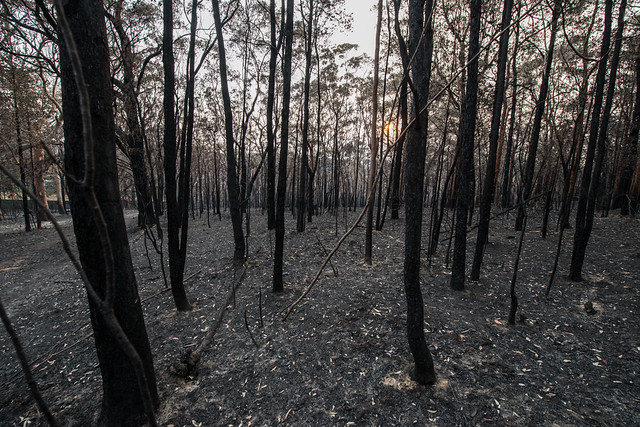Bushfire NSW 2013