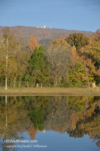 Reflections of Fall - and Covenant College