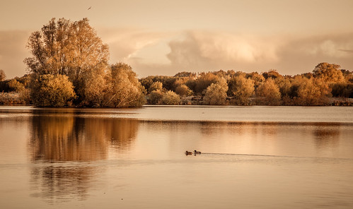 Autumn Lakes