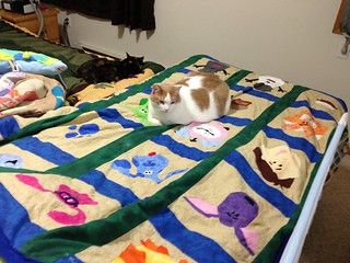 Cosmo enjoying Blue's Clues quilt