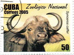 Postage Stamps - Cuba