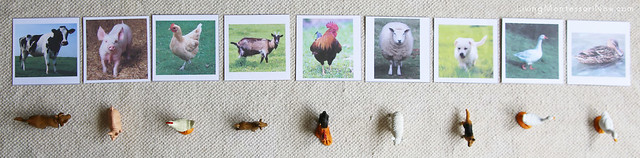 Matching Farm Animal Nomenclature Cards and Farm Animals Layout