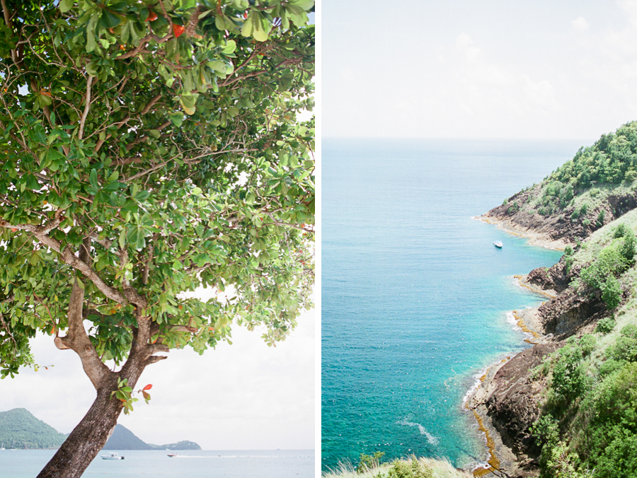fuji400h beach tree and view from pigeon island in st lucia