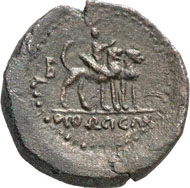 CYPRUS. Cleopatra VII, 50-31 reverse