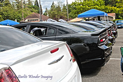 Relay For Life Car Show 5/17/14