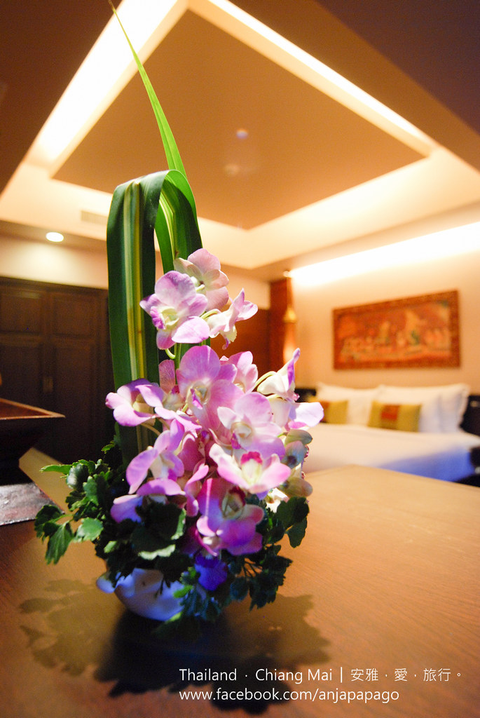 "فندق شيانغ ماي